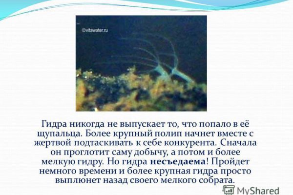 Кракен ссылка на сайт тор