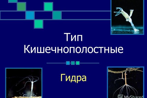 Кракен новый сайт
