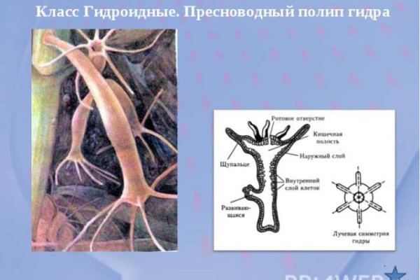 Kraken ссылка тг