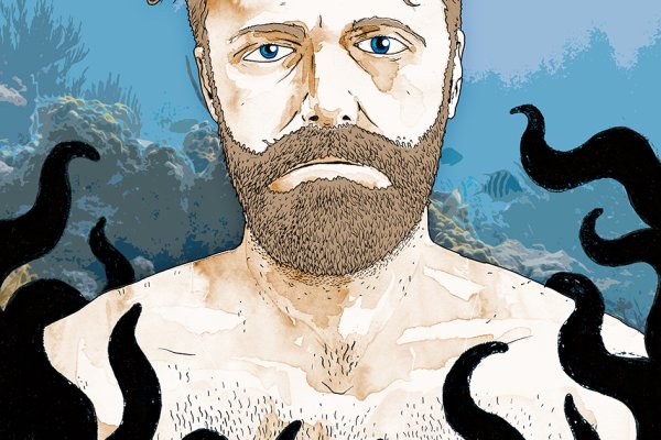 Как найти kraken