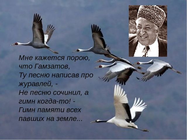 Кракен онион даркнет площадка