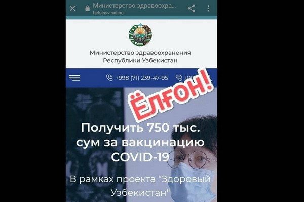 Кракен маркетплейс в питере