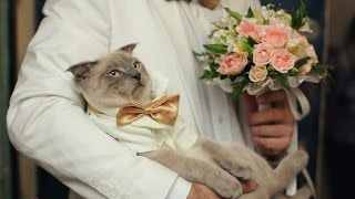 Ссылки на дарк нет